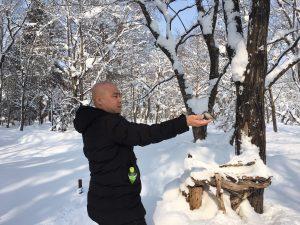 浦臼神社：雪の積もる中、野鳥が男性の手に止まっている写真
