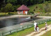 上砂川町水源公園内にあるニジマス鑑賞池の写真